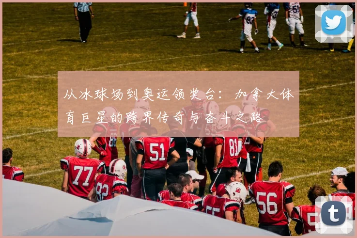 从冰球场到奥运领奖台：加拿大体育巨星的跨界传奇与奋斗之路